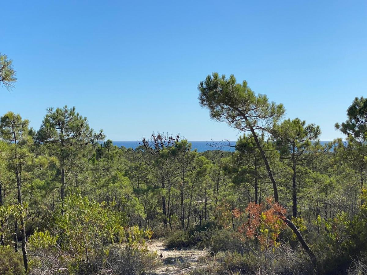 Villa Possanco, Comporta Beach Villa Kültér fotó