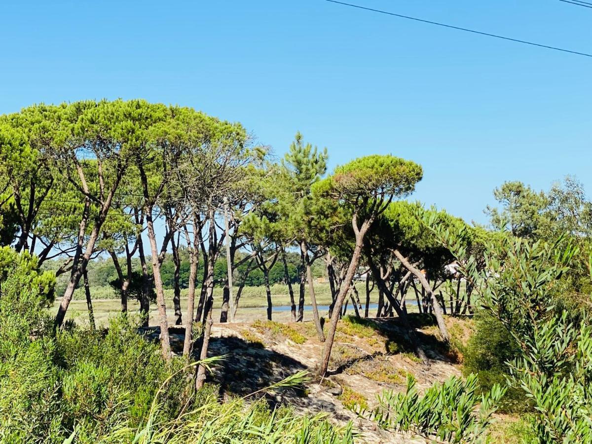 Villa Possanco, Comporta Beach Villa Kültér fotó